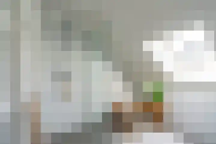 Oudenoord 345 A Utrecht thumbnail 38