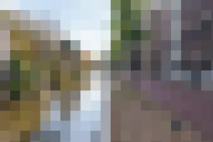 Oudenoord 345 A Utrecht thumbnail 49