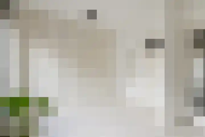 Oudenoord 367 Utrecht thumbnail 21