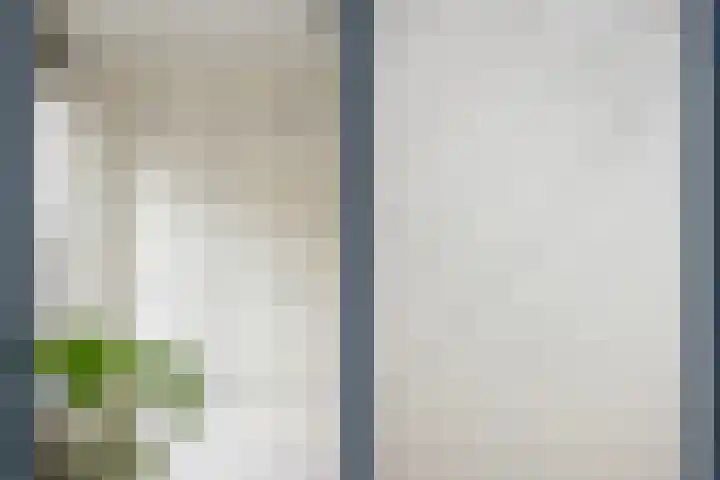 Oudenoord 367 Utrecht thumbnail 22