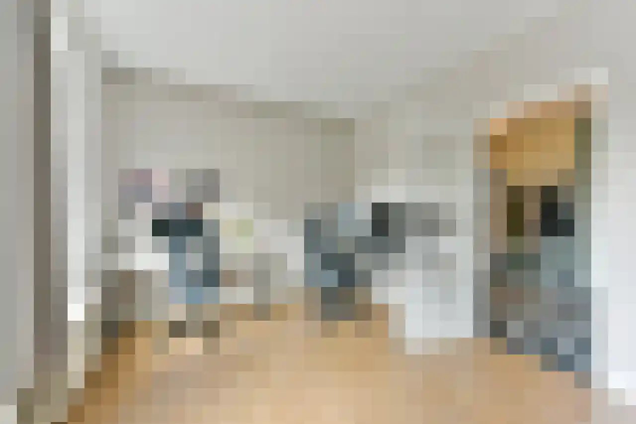 Oudenoord 373 Utrecht thumbnail 28