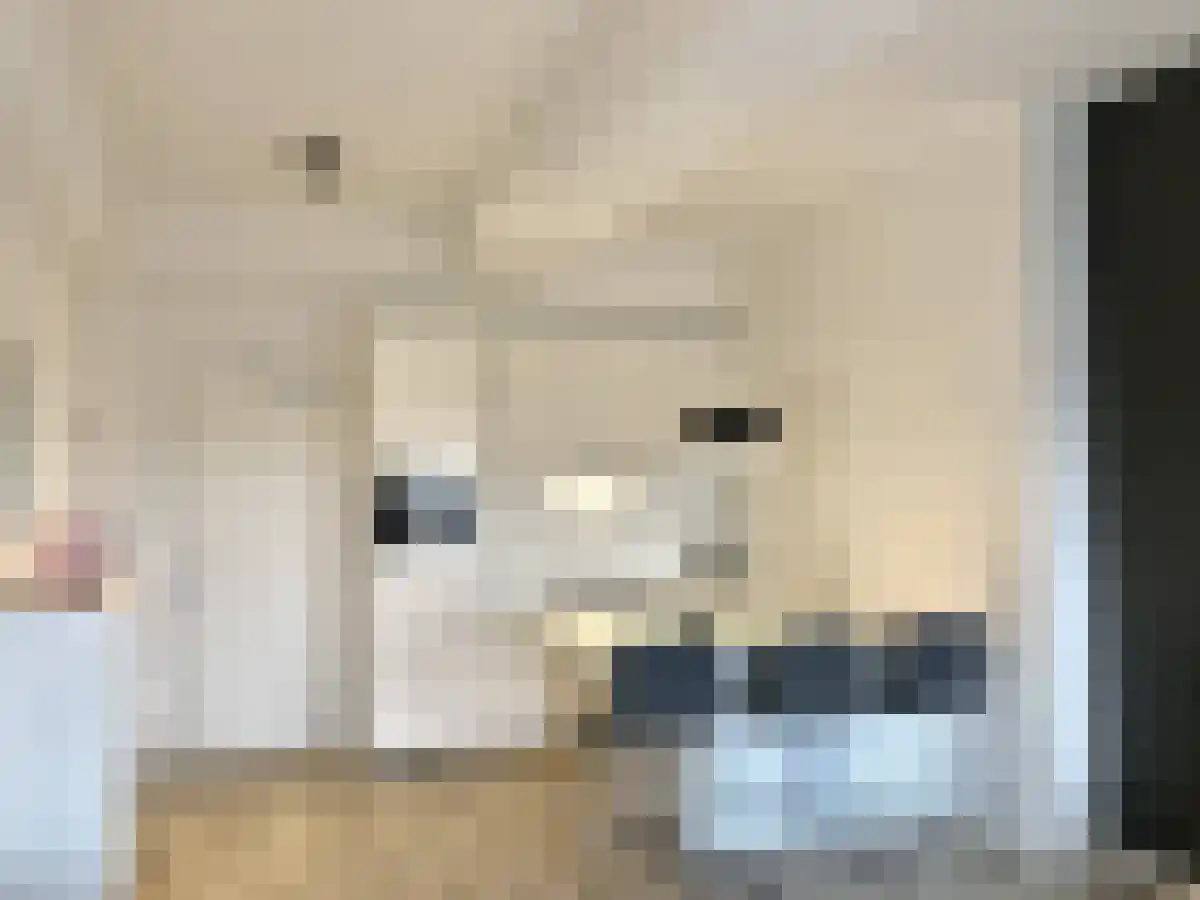 Oudenoord 388 1 Utrecht thumbnail 5