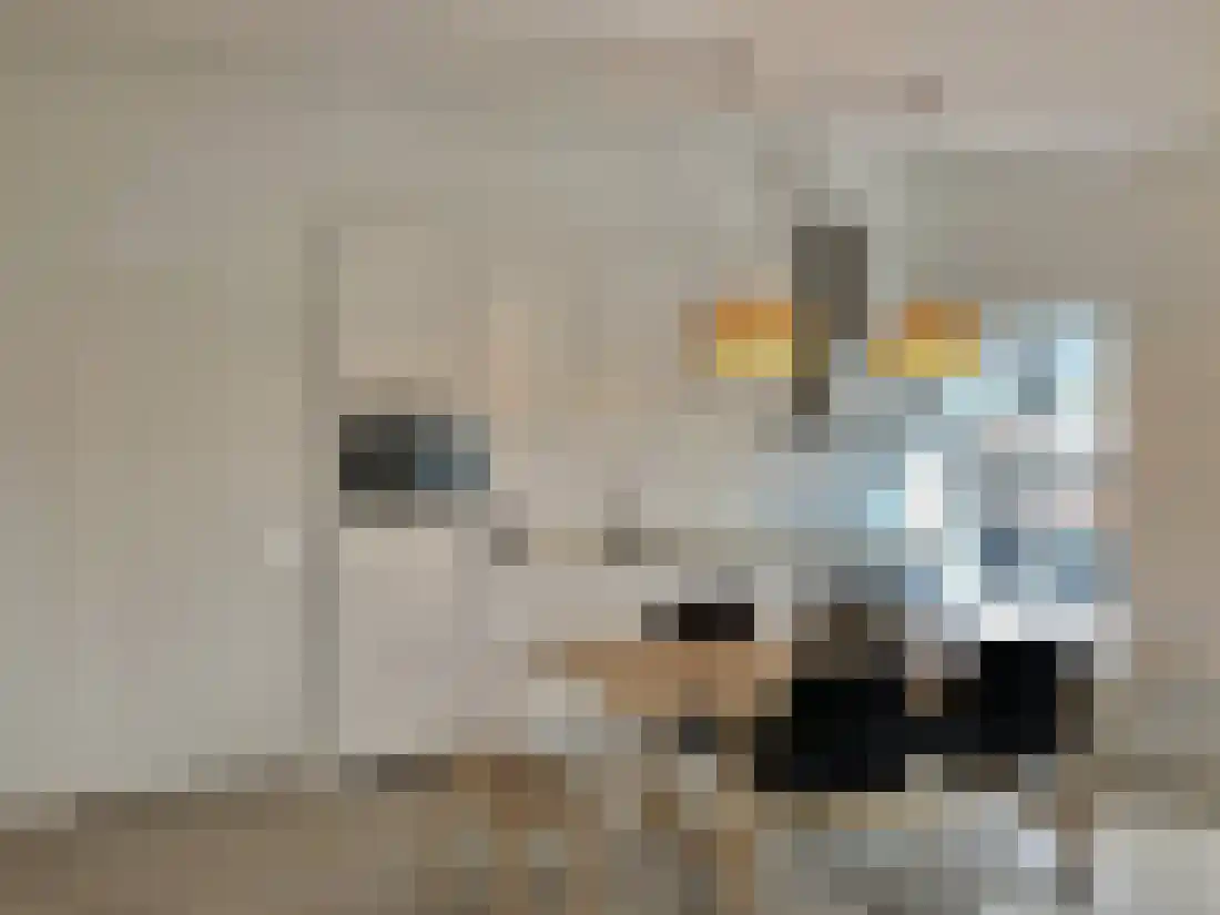 Oudenoord 388 4 Utrecht thumbnail 11