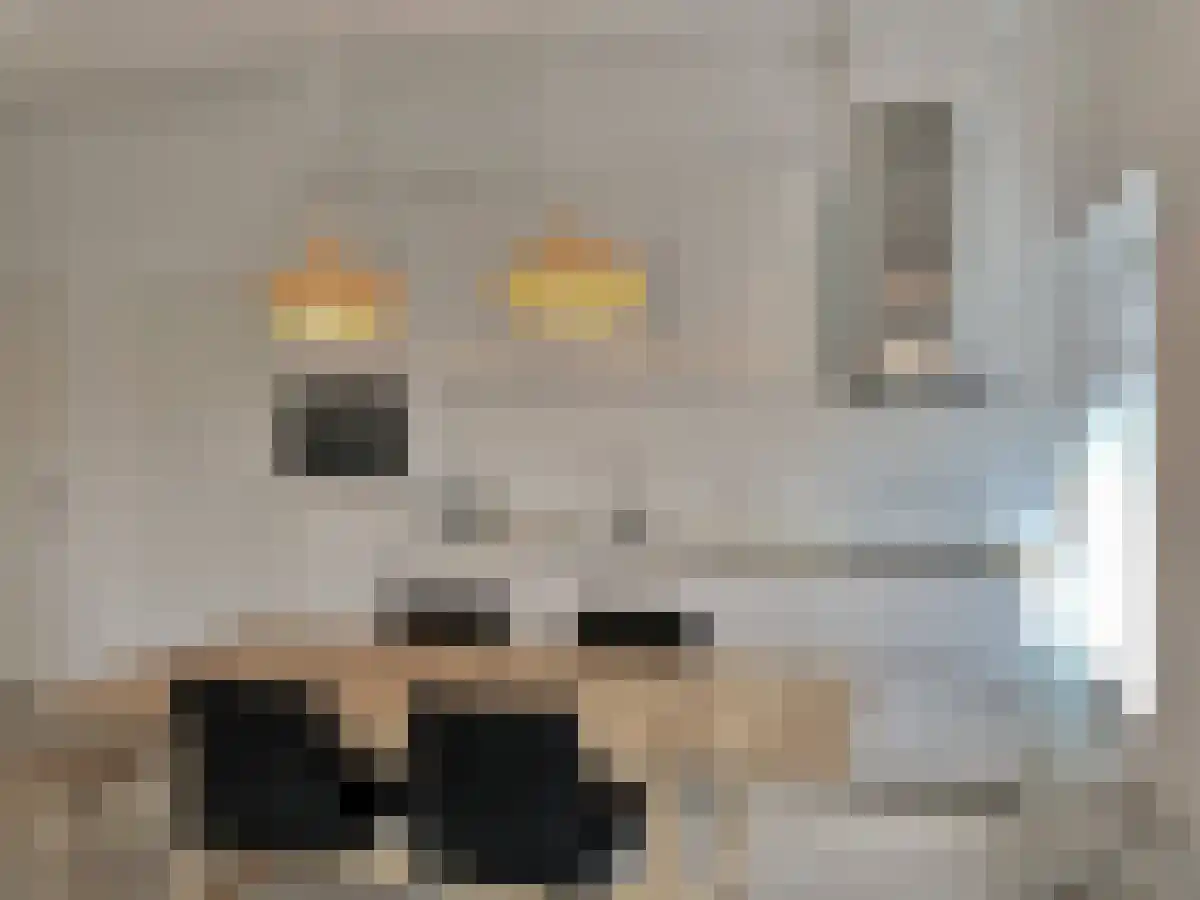 Oudenoord 388 4 Utrecht thumbnail 6