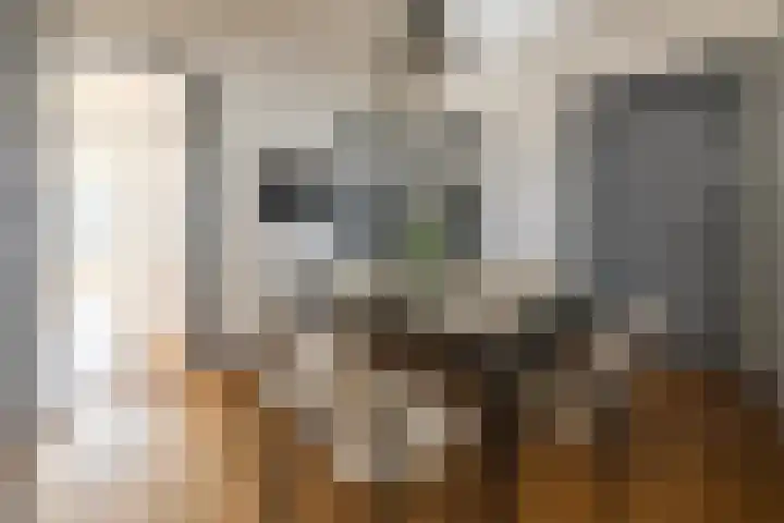 Oudenoord 389 Utrecht thumbnail 17