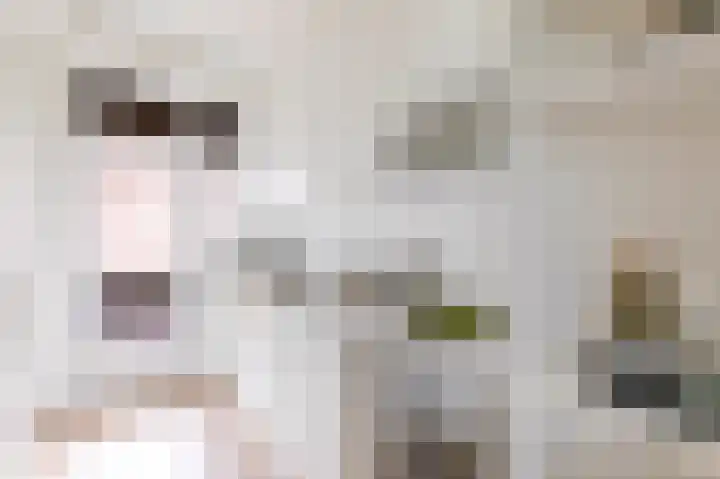 Oudenoord 397 Utrecht thumbnail 11