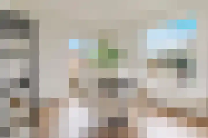 Oudenoord 397 Utrecht thumbnail 5