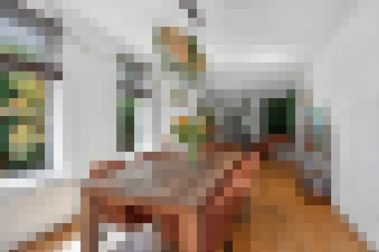 Oudenoord 401 Utrecht thumbnail 17