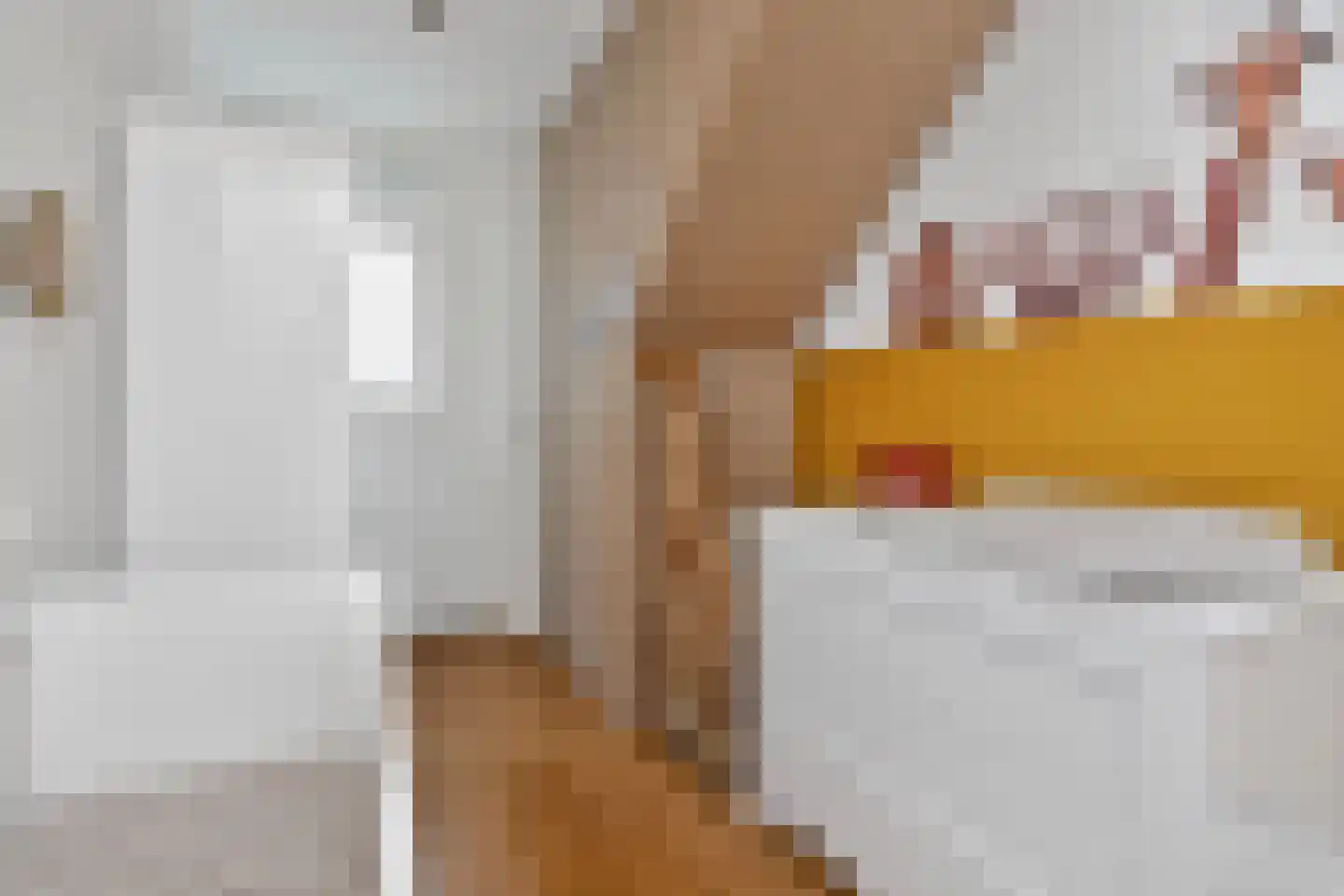 Oudenoord 401 Utrecht thumbnail 33