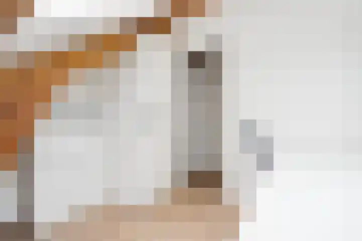 Oudenoord 429 A Utrecht thumbnail 17