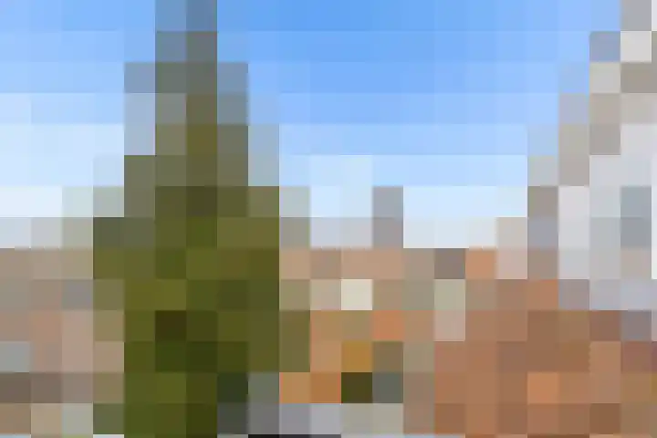 Oudenoord 429 A Utrecht thumbnail 25