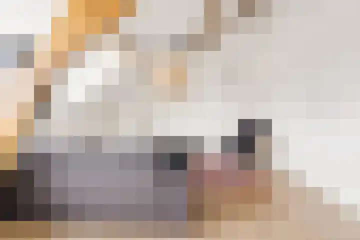 Oudenoord 429 A Utrecht thumbnail 6