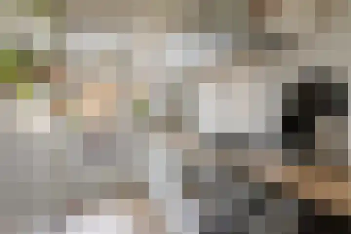 Oudenoord 433 Utrecht thumbnail 16