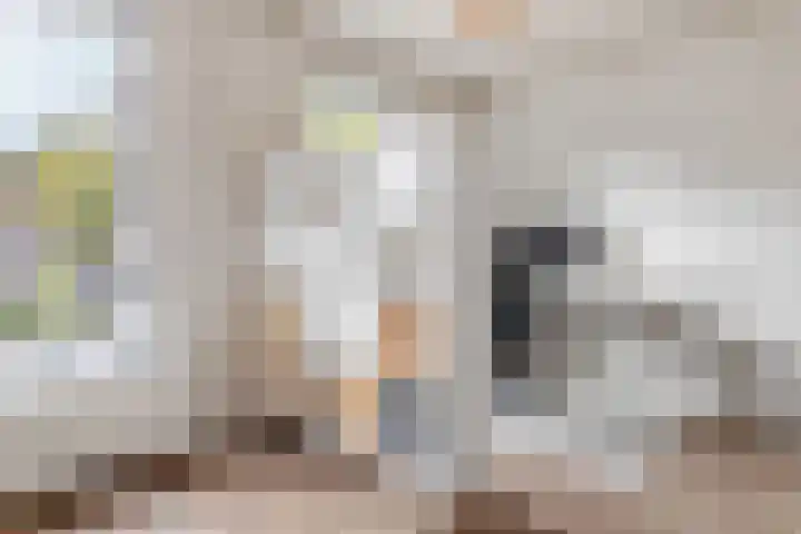 Oudenoord 433 Utrecht thumbnail 23