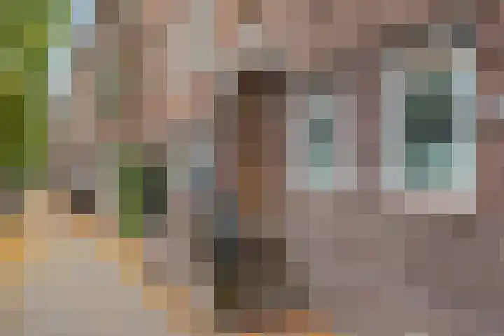 Oudenoord 433 Utrecht thumbnail 6