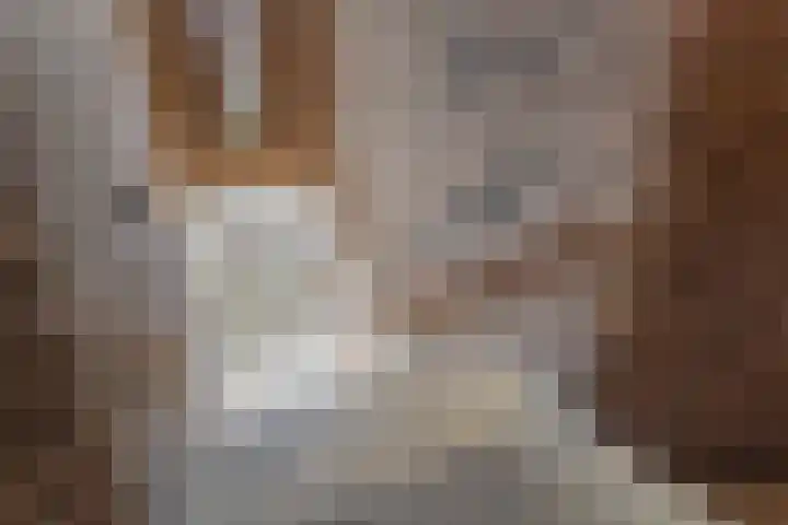 Oudenoord 433 Utrecht thumbnail 7
