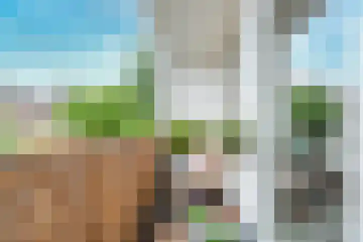 Oudenoord 439 Utrecht thumbnail 13