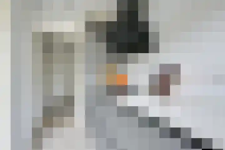 Oudenoord 439 Utrecht thumbnail 19