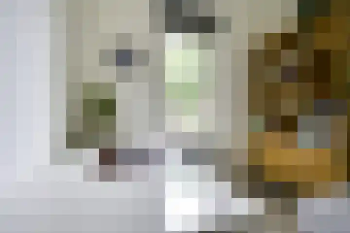 Oudenoord 439 Utrecht thumbnail 27
