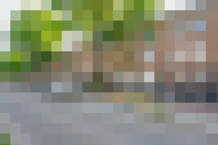 Oudenoord 439 Utrecht thumbnail 32