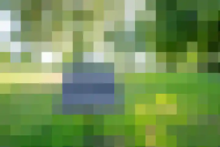 Oudenoord 439 Utrecht thumbnail 34