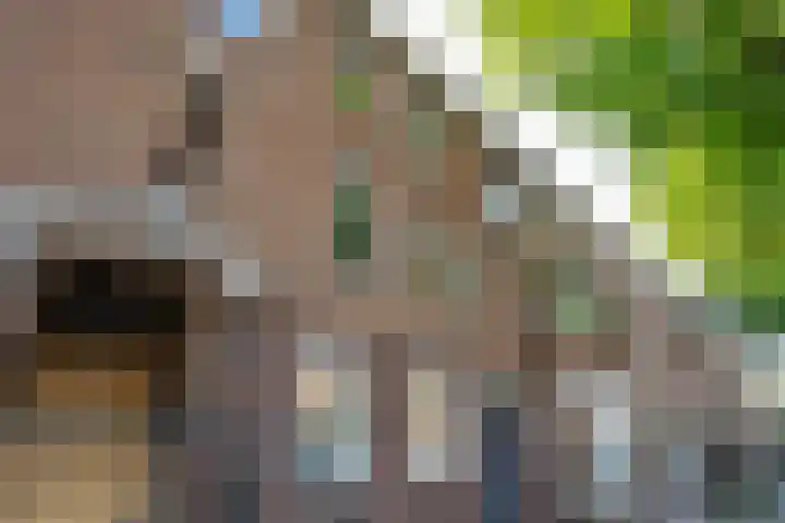 Oudenoord 439 Utrecht thumbnail 6