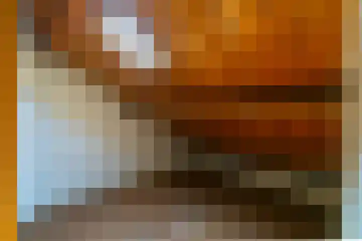 Oudenoord 442 Utrecht thumbnail 23
