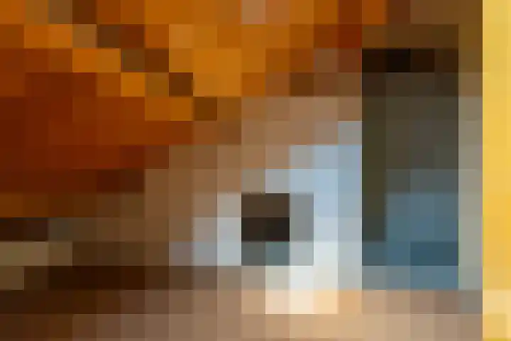 Oudenoord 442 Utrecht thumbnail 24