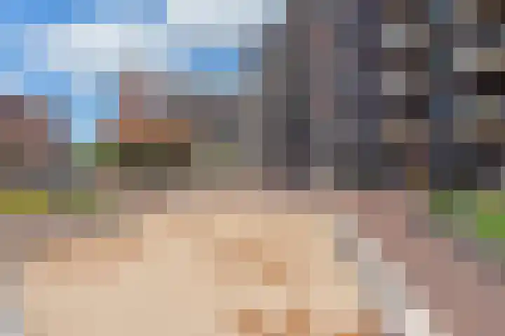Oudenoord 442 Utrecht thumbnail 26