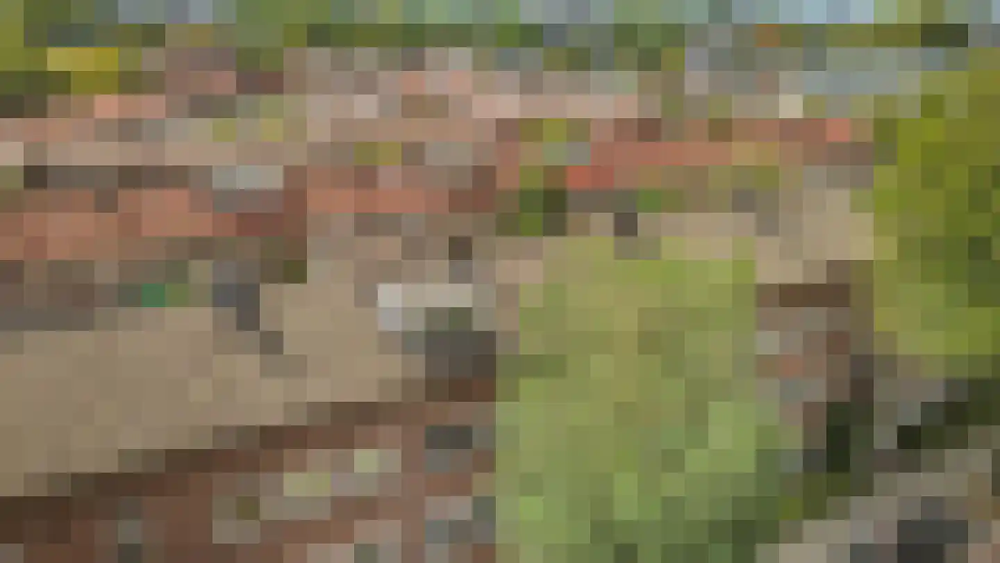 Oudenoord 444 Utrecht thumbnail 28