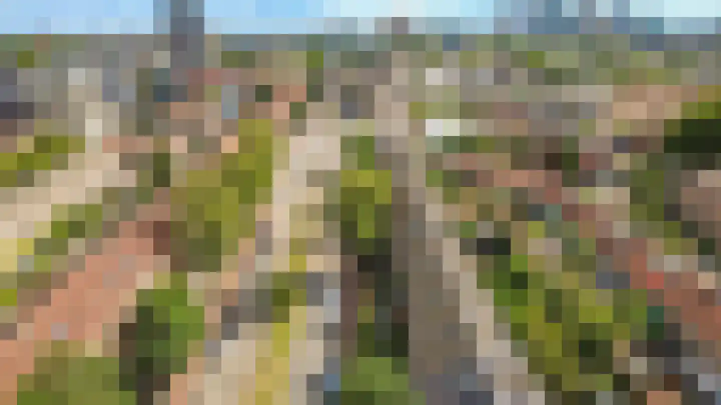 Oudenoord 444 Utrecht thumbnail 32