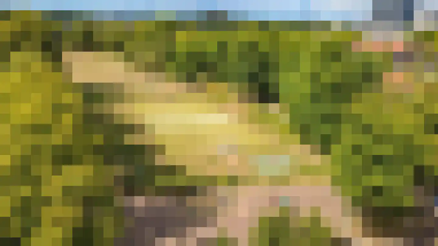 Oudenoord 444 Utrecht thumbnail 33