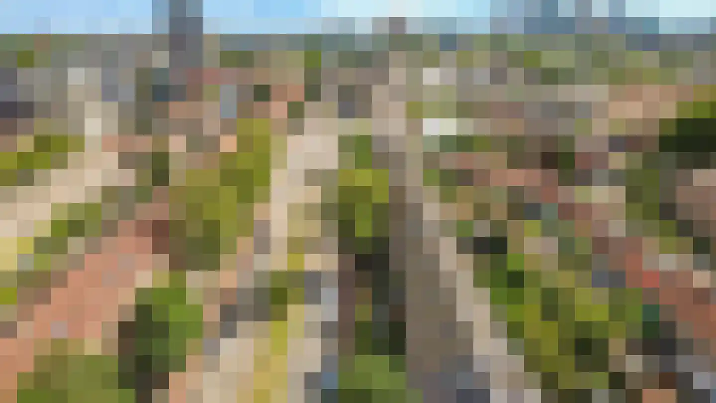 Oudenoord 444 Utrecht thumbnail 33