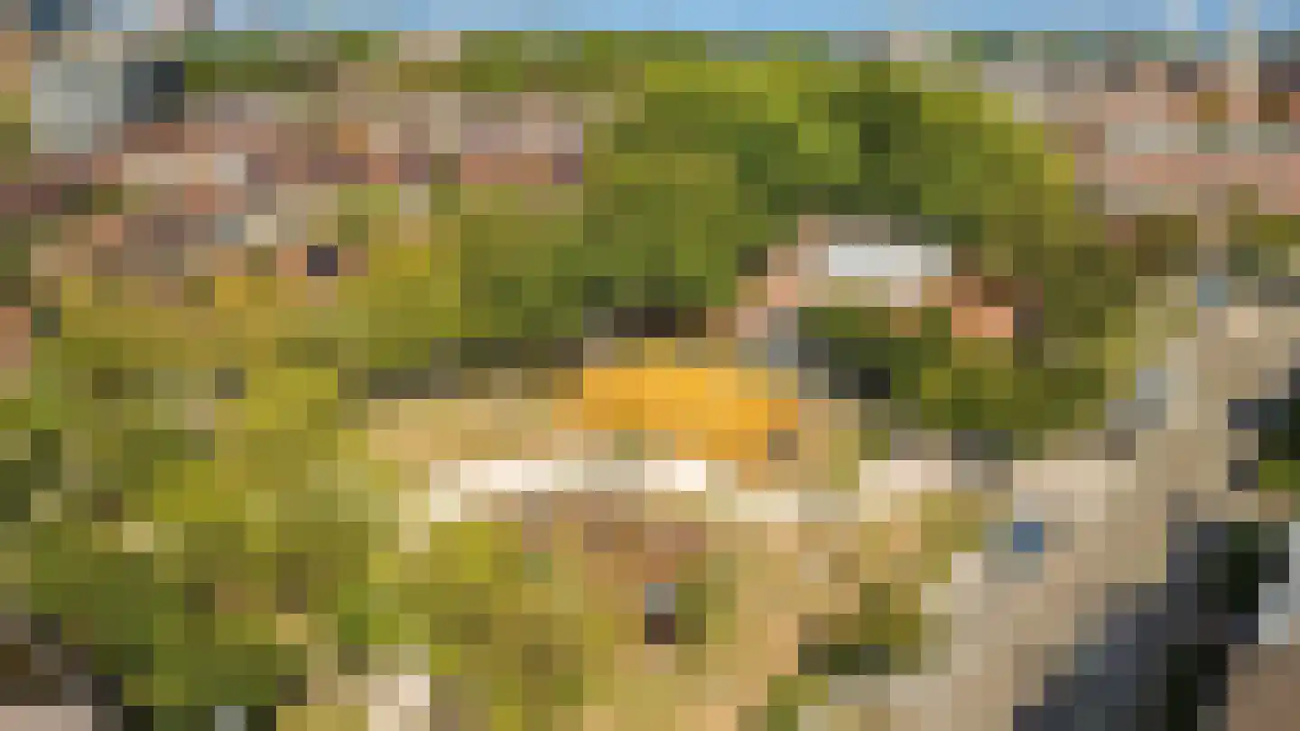 Oudenoord 444 Utrecht thumbnail 35
