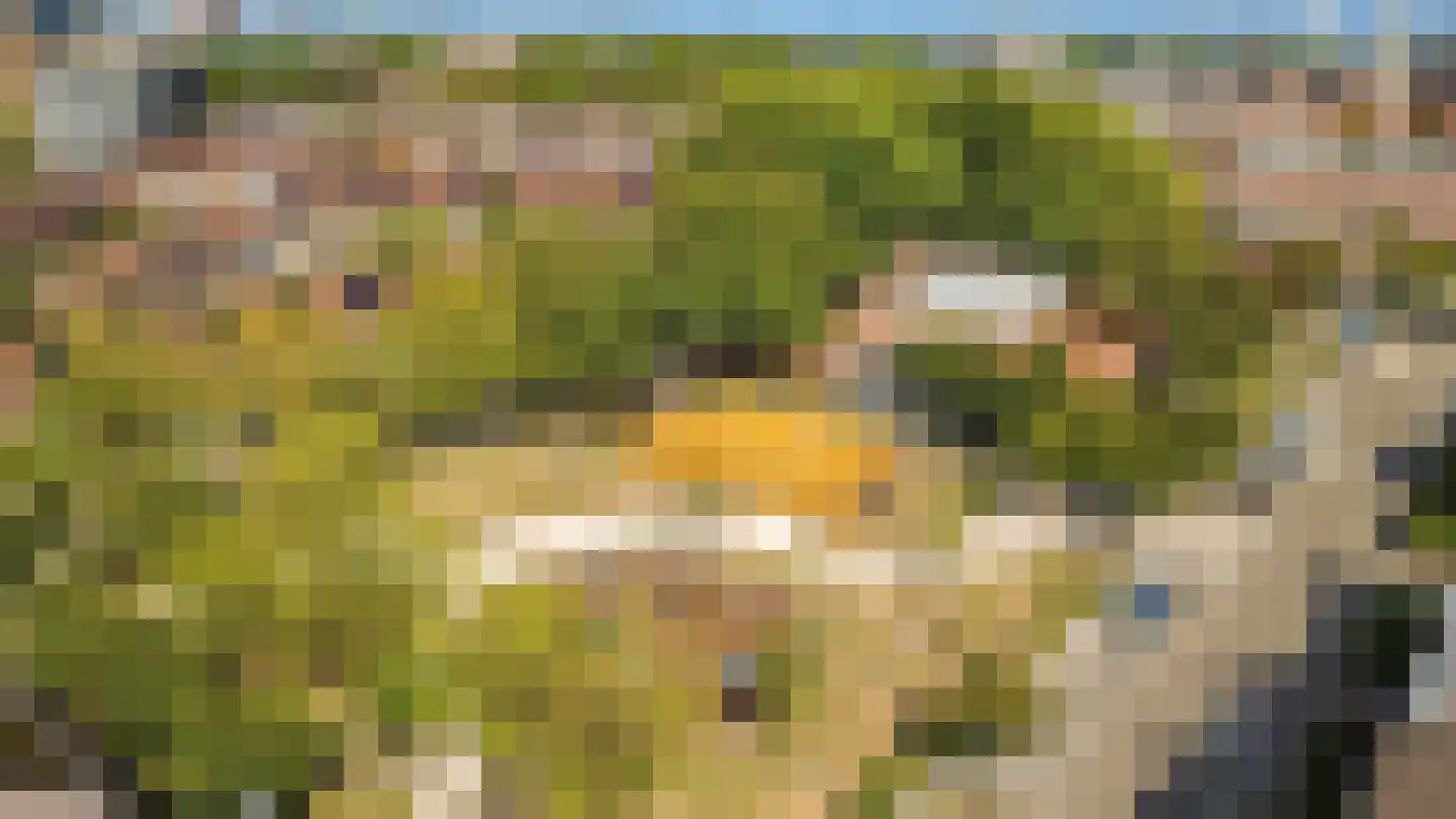 Oudenoord 444 Utrecht thumbnail 36
