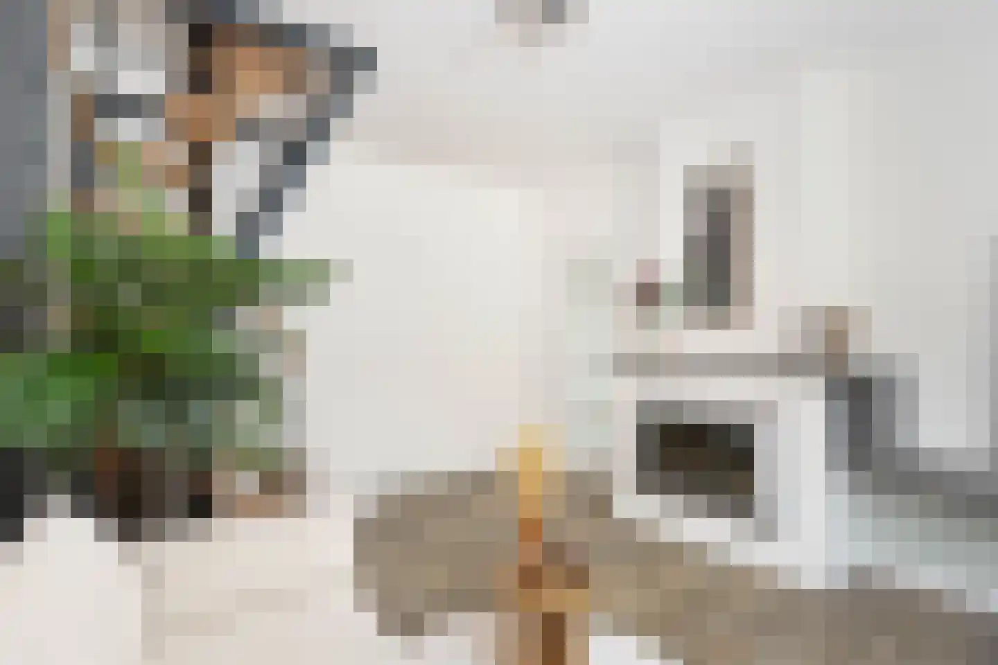 Oudenoord 444 Utrecht thumbnail 7