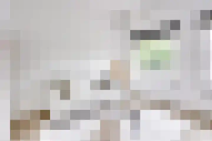 Oudenoord 446 Utrecht thumbnail 15