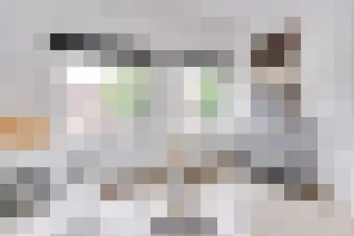 Oudenoord 446 Utrecht thumbnail 16