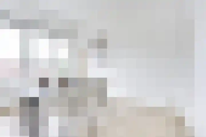Oudenoord 446 Utrecht thumbnail 19