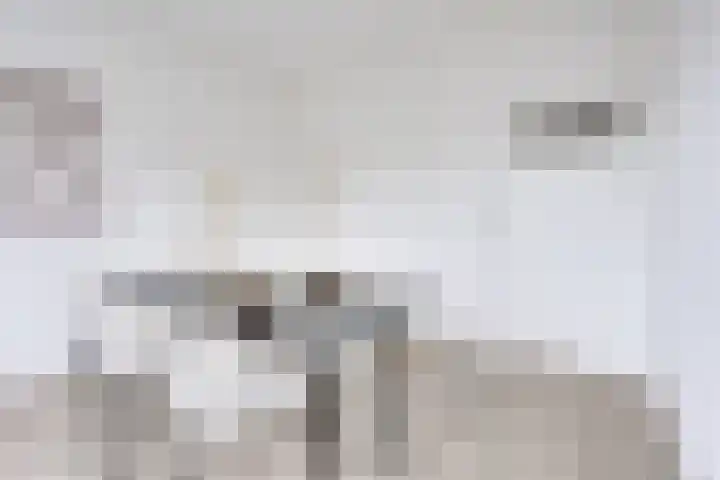 Oudenoord 446 Utrecht thumbnail 20