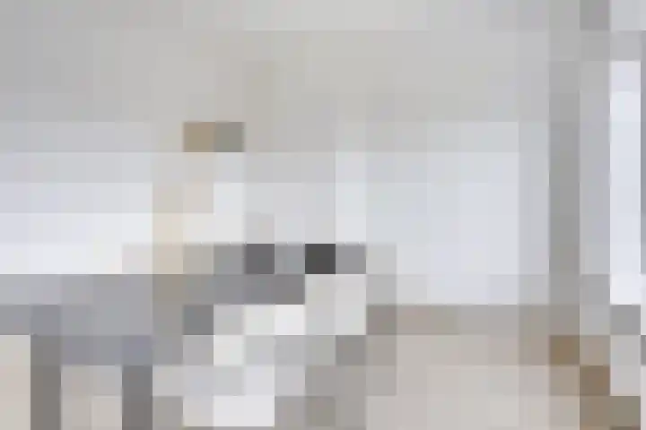 Oudenoord 446 Utrecht thumbnail 22