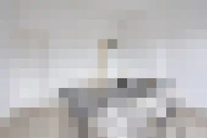Oudenoord 446 Utrecht thumbnail 23