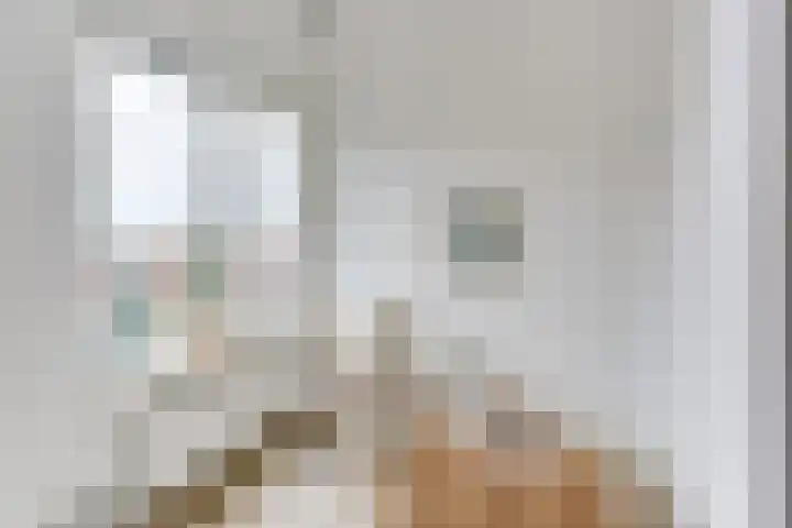 Oudenoord 446 Utrecht thumbnail 25