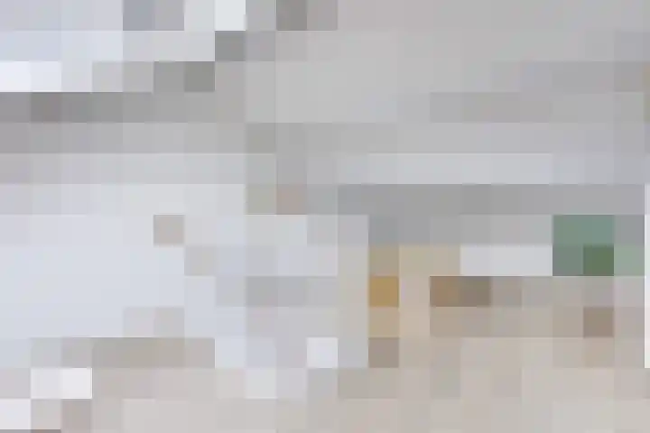 Oudenoord 446 Utrecht thumbnail 28