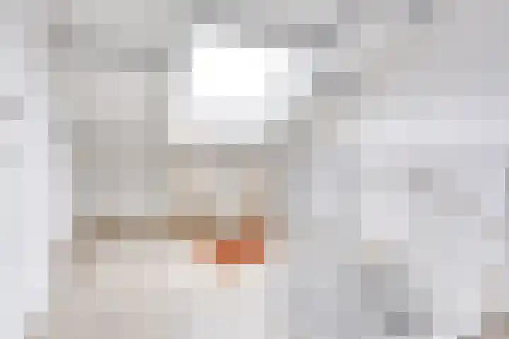 Oudenoord 446 Utrecht thumbnail 29