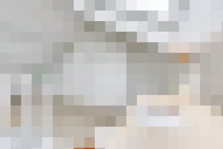 Oudenoord 446 Utrecht thumbnail 32