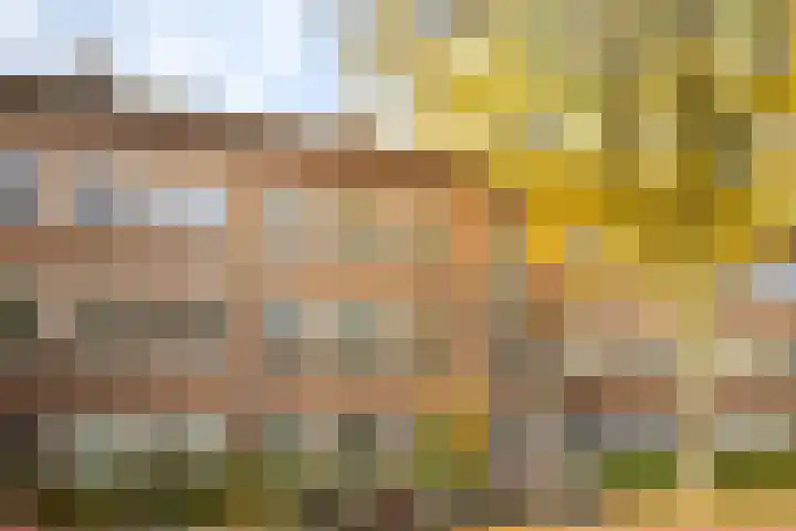 Oudenoord 448 Utrecht thumbnail 36