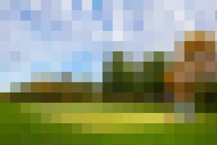 Oudenoord 448 Utrecht thumbnail 38