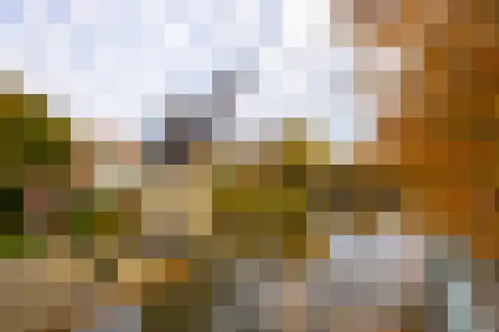 Oudenoord 448 Utrecht thumbnail 41