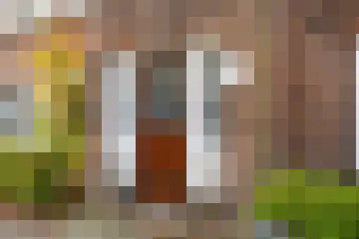 Oudenoord 448 Utrecht thumbnail 5